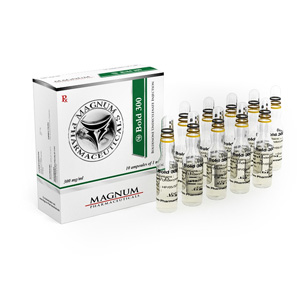 Magnum Bold 300 - Boldenona undecilenato (Equipoise)
