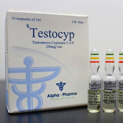 Testocyp - Cipionato de testosterona