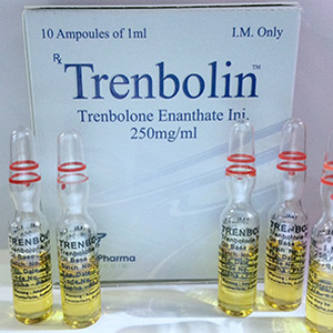 Trenbolin (ampoules) - Enantato de trembolona